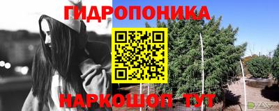 кокс Будённовск