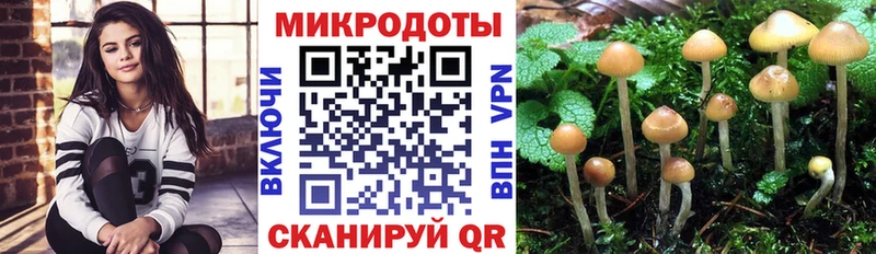 Галлюциногенные грибы Psilocybe  наркота  мориарти как зайти  Зеленодольск 