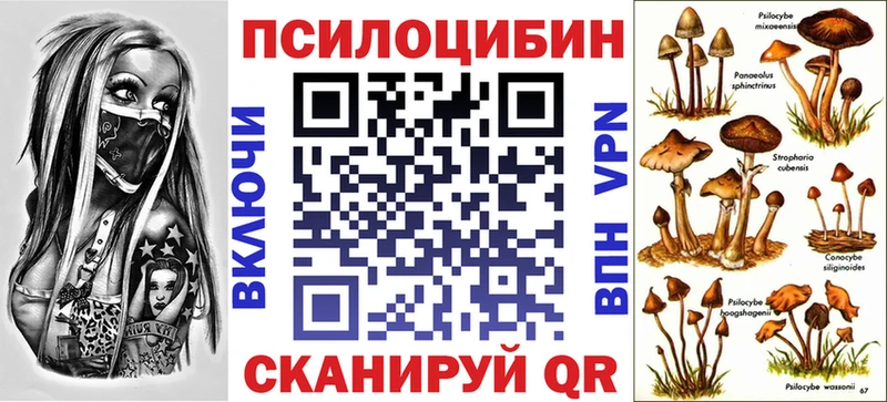 Галлюциногенные грибы GOLDEN TEACHER Зеленодольск