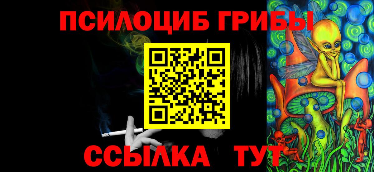 Зеленодольск  Галлюциногенные грибы MAGIC MUSHROOMS  Вход с VPN  Псилоцибиновые грибы прущие грибы 